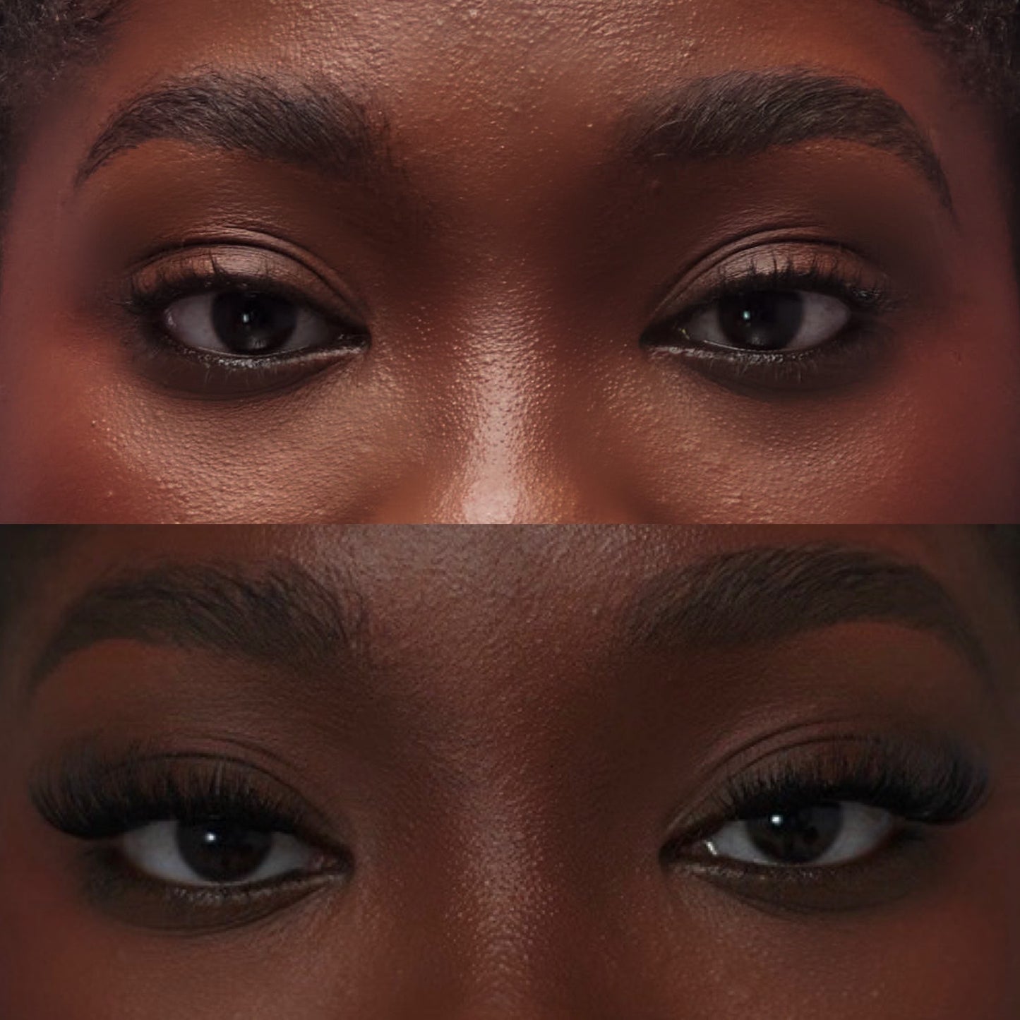 Bold & Balanced Tray + Application Kit (Hybrid Set)